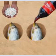 멘토스,콜라 챙기셨나요