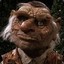 HOGGLE