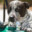 DOG WATER
