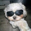XeviQuiz's avatar