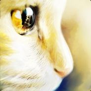 明天回老家结婚