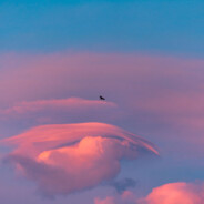 东风夜放花千树