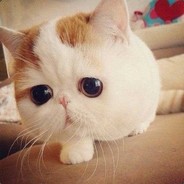 LindaQG