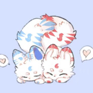 白狐_Reddish White