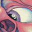 amoeba