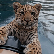 GS - steam id 76561199244038219