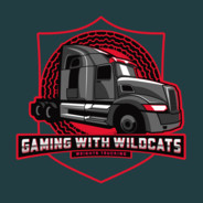 Gaming With Wildcats