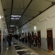 \u4e00\u53ea\u5c0f\u732a\u732a