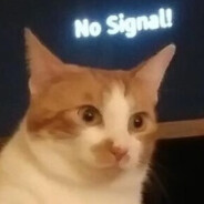 马加骑手赢很容易