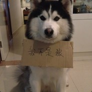 皮皮