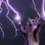 TheCreature2543