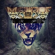 GALAXYYYYYYYYY (VAGINAS)