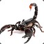 Skorpion