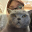 meow^_^ #私は猫が大好き