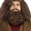 Harry Hagrid61