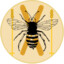 SkiingBee