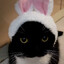 cat with bunny ears