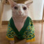 pijamich