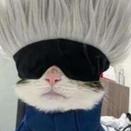 mekochengyt avatar