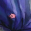 Kirby