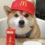 Doggo who works at McDonalds