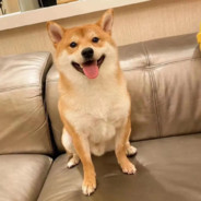 不讲武德的年轻人