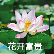 花开富贵