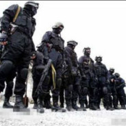 菊花痒死了哥哥