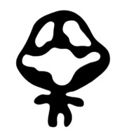 苹果伤心眼泪水