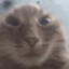 Закрой Вконтакте ради Бога's avatar