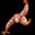 ShrimpChimpin