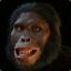 Australopithecus