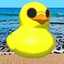 -Duck- avatar