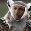 Kendrick Lemur