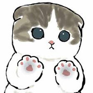 Котик