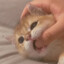 梦里相见算重逢吗？