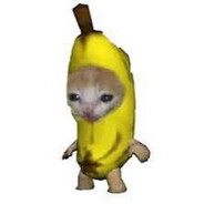 banan4ik_812#magixrust