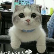 Love the way you die