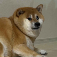 ✯lmStrix✯(ง •̀_•́)