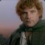 Samwise Gamgee