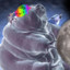 Zylfrex