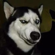 来机场看大飞机