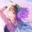 stargazer