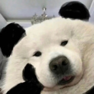 再来一顿肉蟹煲