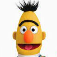 Bert