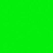 SilentGreen