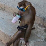 SaLvadoR - steam id 76561198392666220