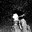 Roshanks_