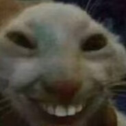 月半猫喜欢奶龙