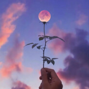 此处风景正好